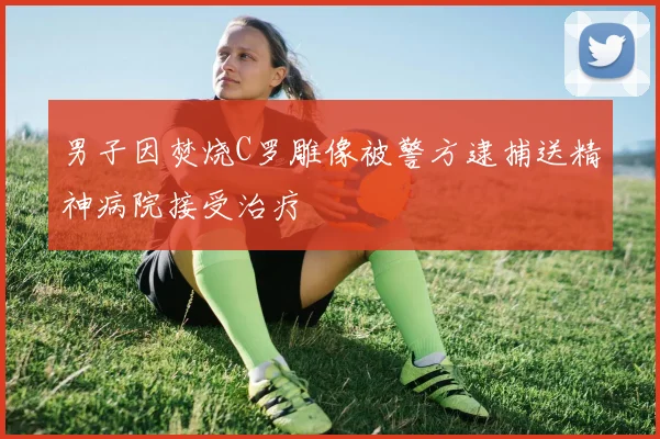 男子因焚烧C罗雕像被警方逮捕送精神病院接受治疗