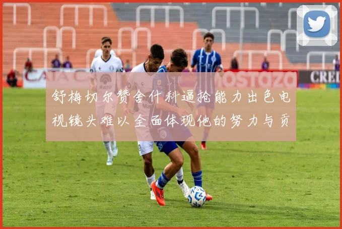 舒梅切尔赞舍什科逼抢能力出色电视镜头难以全面体现他的努力与贡献